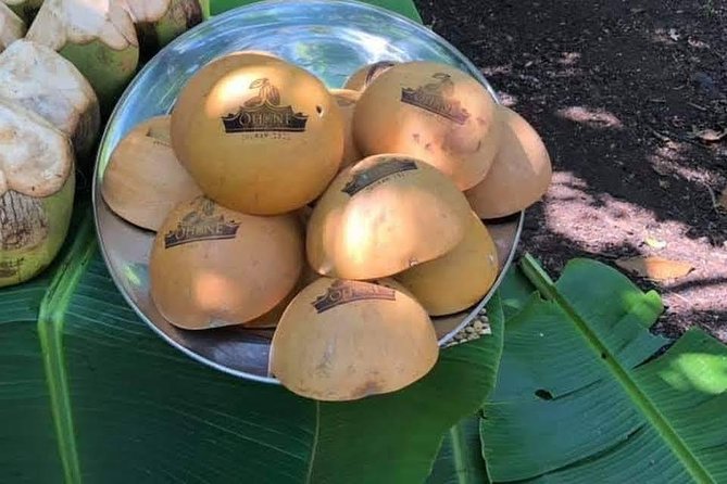 1 Day cocoa farm tour - Seeing how cocoa becomes dried beans
