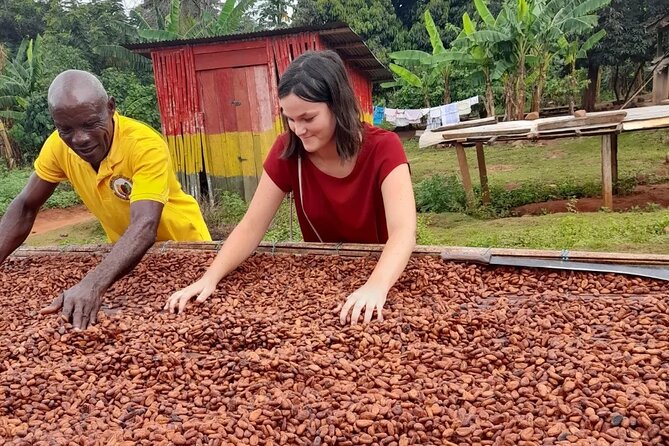 1 Day cocoa farm tour - Walking beneath the cocoa trees