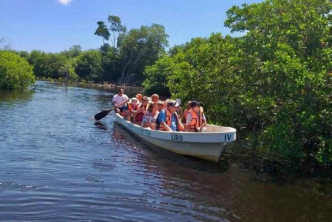 4 in 1 Tour - Mazunte, Cacao Factory, La Ventanilla National Park & Turtle Spawn - Forty-five minutes to wander Mazunte