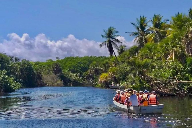 4 in 1 Tour - Mazunte, Cacao Factory, La Ventanilla National Park & Turtle Spawn - Canoeing through La Ventanilla’s mangrove lagoon