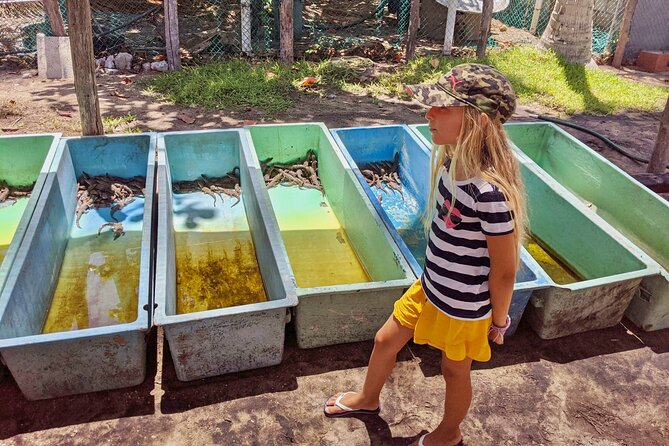 4-in-1 Tour - Mazunte,Cacao Factory, La Ventanilla & Turtle Spawn - One free hour to get a feel for Mazunte