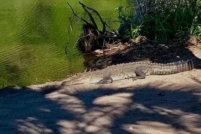 4-in-1 Tour - Mazunte,Cacao Factory, La Ventanilla & Turtle Spawn - La Ventanilla’s mangroves, birds, and crocodiles