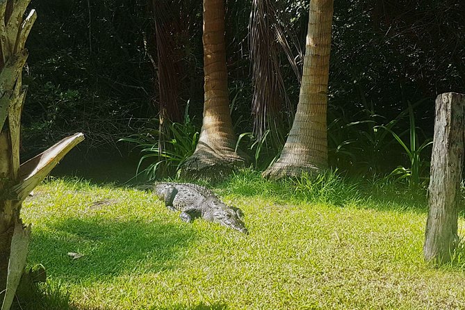 4-in-1 Tour - Mazunte,Cacao Factory, La Ventanilla & Turtle Spawn - The evening turtle arrival on the beach