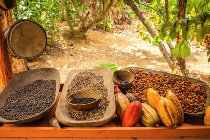 4x4 Dominican Adventure with Chocolate and Coffee Tasting - Riding out from Punta Cana’s resort zone