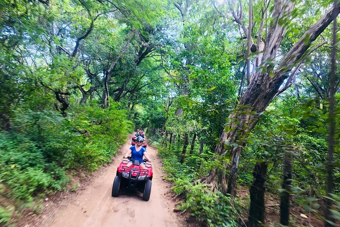 4x4 Dominican Adventure with Chocolate and Coffee Tasting - Coffee, cocoa, rum, and the farm stop
