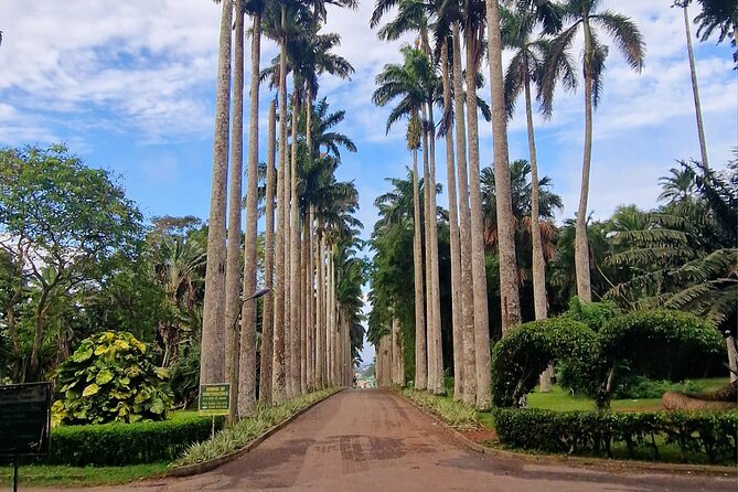 Aburi Botanic Gardens, Boti Falls,Umbrella Rock & Cocoa Farm Tour - Key points before you book