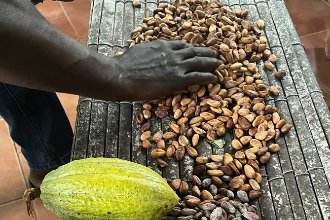 Aburi Botanic Gardens, Boti Falls,Umbrella Rock & Cocoa Farm Tour - Boti Falls and the 250-step walk to the water