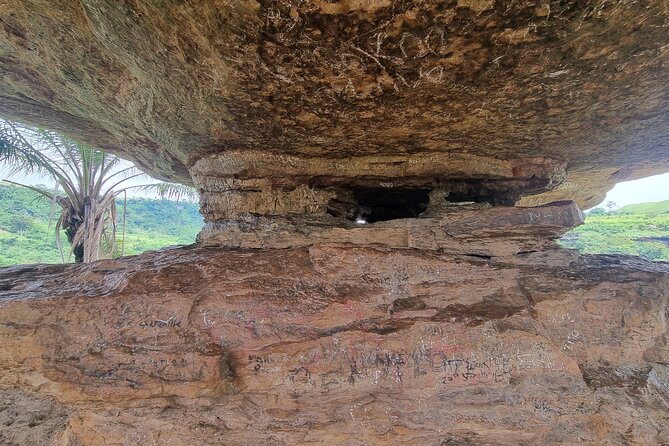Aburi Botanic Gardens, Boti Falls,Umbrella Rock & Cocoa Farm Tour - The three-headed palm in Boti