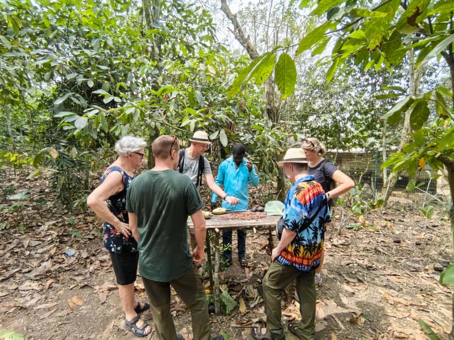 Accra: Aburi Botanical Garden, Cocoa Farm, and Waterfall … - From Accra to the hills around Aburi