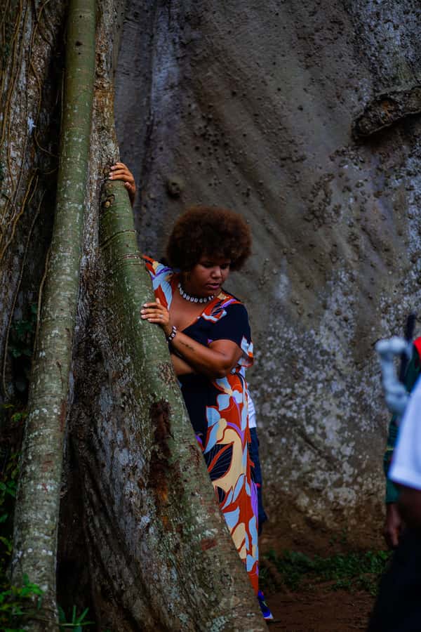 Accra: Aburi Botanical Garden, Cocoa Farm, and Waterfall … - What the $194 price really covers