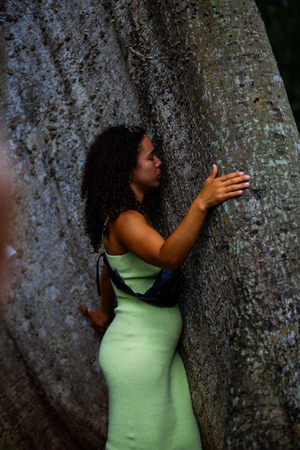 Accra: Aburi Botanical Garden, Cocoa Farm, and Waterfall … - Should you book the Aburi and Asenema day?