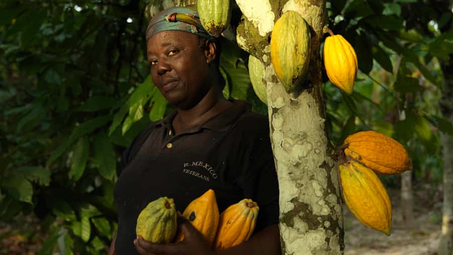 Accra Aburi Eco & Cocoa Experience: Gardens Waterfall &Lunch - Why this Accra day trip works so well
