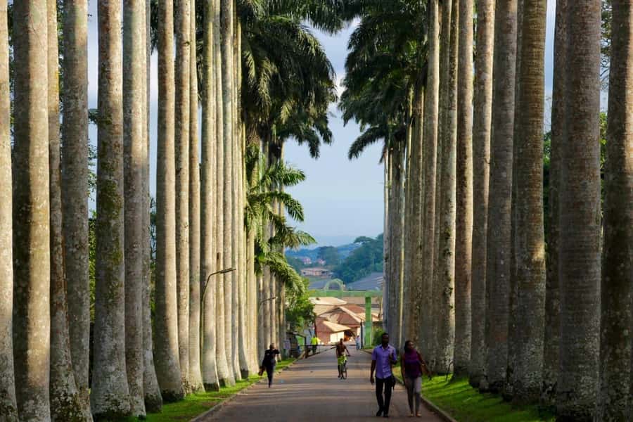 Accra Aburi Eco & Cocoa Experience: Gardens Waterfall &Lunch - Starting from Accra or Tema