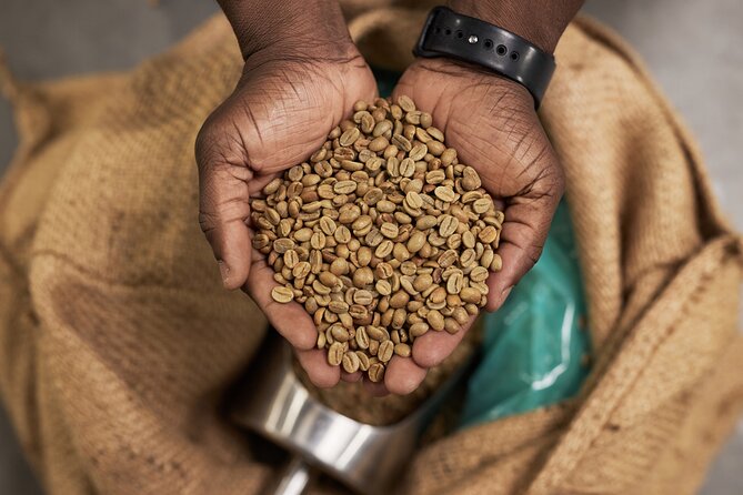 African Origin Coffee and Chocolate Walking Tour - A coffee tour that keeps moving through Cape Town
