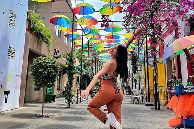 Ambar Chocolate Puerto Plata Culture and Colored Umbrella - A Four-Hour Introduction to Puerto Plata’s Character