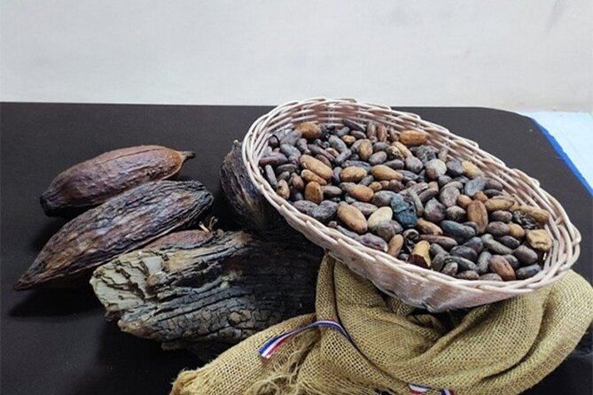Ambar Chocolate Puerto Plata Culture and Colored Umbrella - Is $40 a Fair Price?