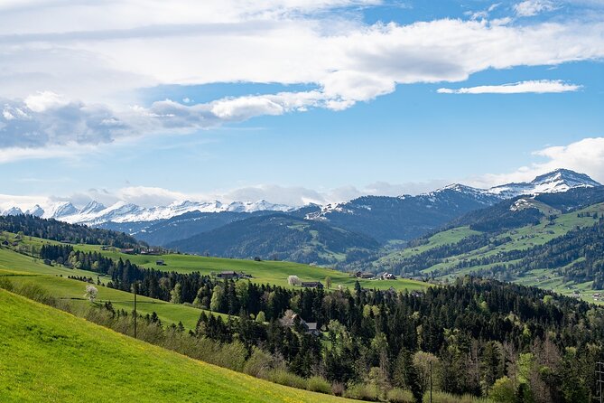 Appenzell Alps Day Trip from Zurich – Farm Life & Cheese Tasting - Taking the cable car to Mt Hoher Kasten