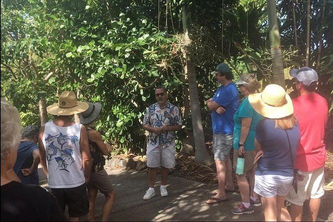 Award Winning Farm Tour: Coffee, Chocolate and Unique Gifts - A Kona farm above the coffee belt