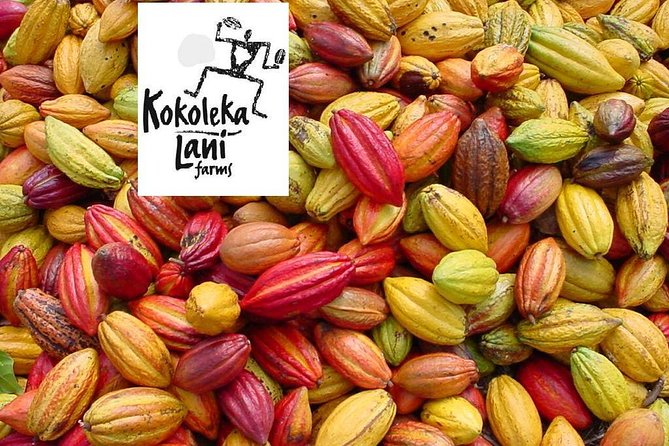 Award Winning Farm Tour: Coffee, Chocolate and Unique Gifts - Timing, group size, and who should go