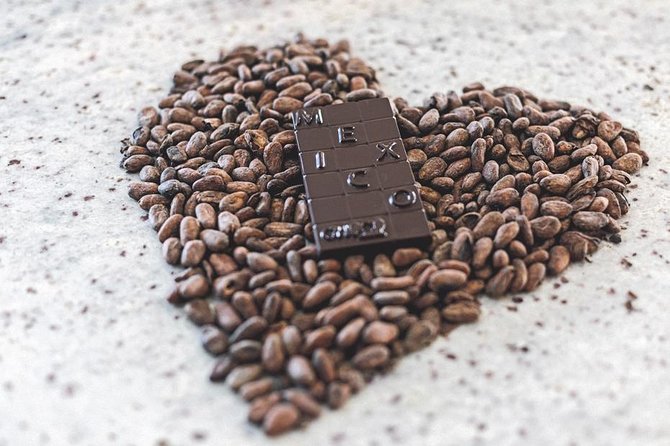 Bean to Bar Chocolate Workshop in Puerto Vallarta - Timing your visit in Centro