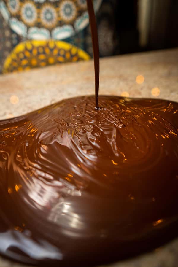Bean to Bar: Cocoa and Chocolate Workshop - Is $101 a fair price?