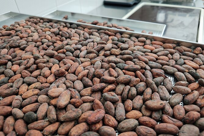 Become a chocolatier for a day, in Modica raw chocolate - What happens during the three-hour visit