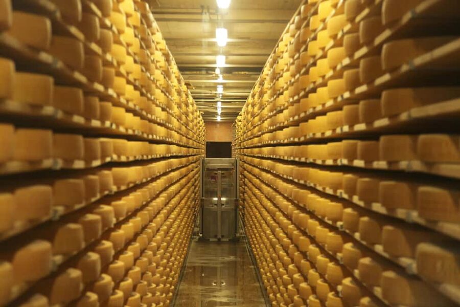 Bern: Gruyères Cheese and Cailler Chocolate Tasting Tour - Key points to know before you book