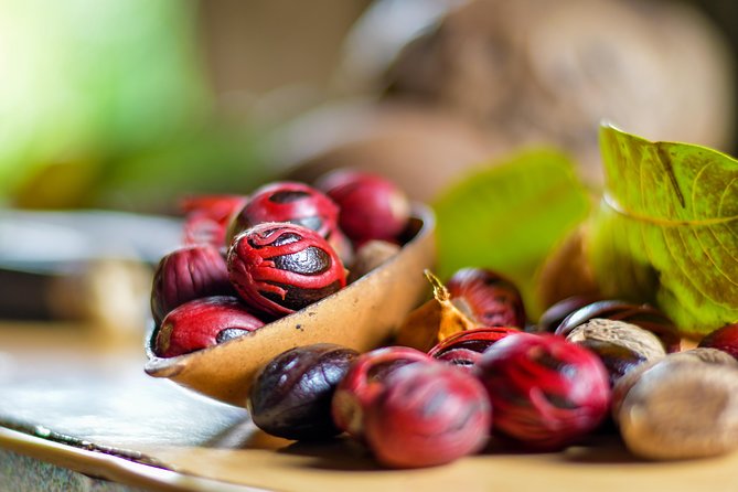 Best of Grenada: Waterfalls, Chocolate, Nutmeg Museum, History - Nutmeg Museum: Grenada’s spice story in 35 minutes