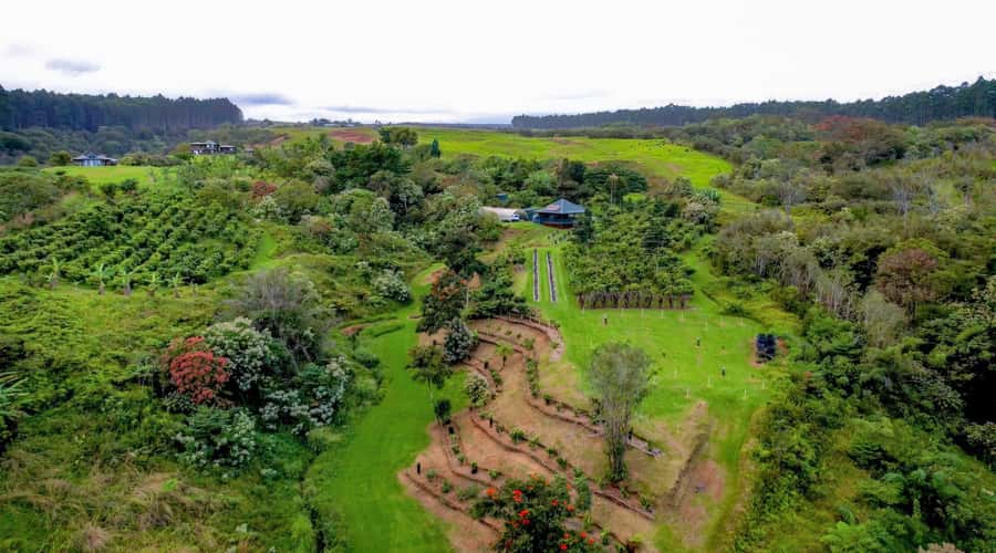 Big Island Hawaii: Craft Chocolate Tasting and Farm Tour - A Welcome in the Tasting Room
