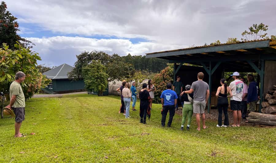 Big Island Hawaii: Craft Chocolate Tasting and Farm Tour - Tasting at Least 10 Hawaiian Chocolate Bars