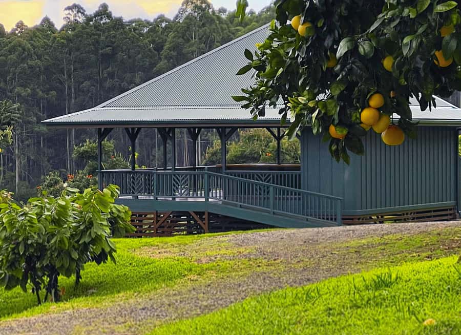 Big Island Hawaii: Craft Chocolate Tasting and Farm Tour - Who Will Enjoy This Experience Most?