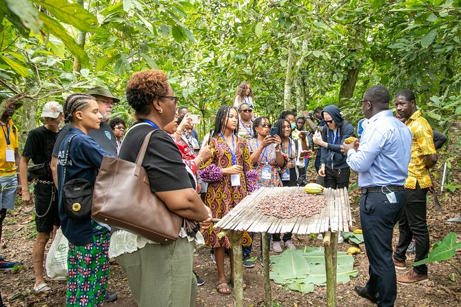 Boti Falls, Botanic Gardens, Cocoa Fam, Umbrella Rock Experience - Why this Eastern Region day trip works