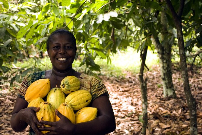 Boti Falls, Umbrella Rock, Aburi Gardens & Cocoa Farm Day Tour - Boti Falls brings the biggest sense of adventure