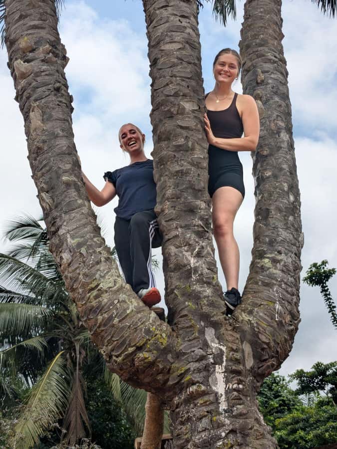 Boti Falls, Umbrella Rock, Aburi Gardens & Cocoa Farm Tour - Key points before you book