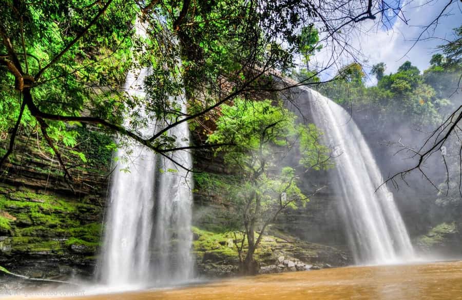 Boti Falls, Umbrella Rock, Aburi Gardens & Cocoa Farm Tour - Tetteh Quarshie Cocoa Farm: the most useful cultural stop
