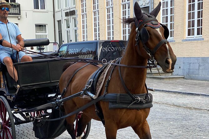 Bruges by a Local: Exciting Stories, Mysteries, People and Choco - Starting among Bruges’ grandest buildings