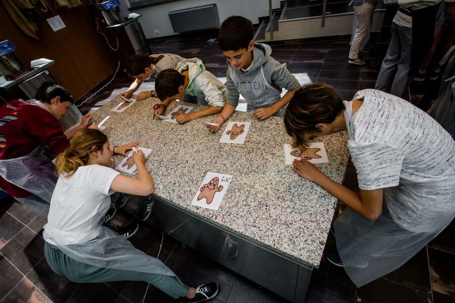Bruges: Chocolate Making Workshop and Chocolate Museum Entry - Key points at a glance