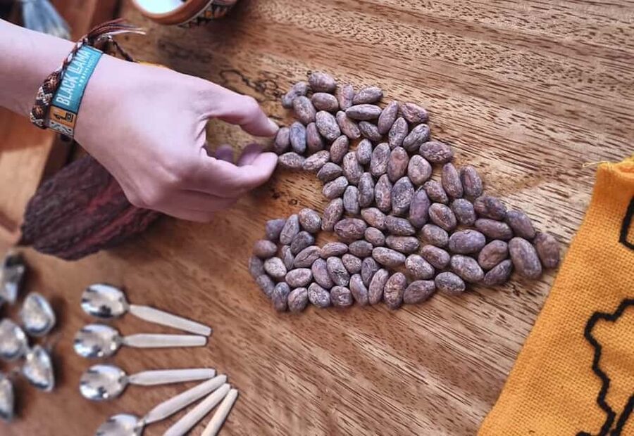 Brussels: 1h-Bean-to-Bar Chocolate Making Workshop - Key points to know before booking