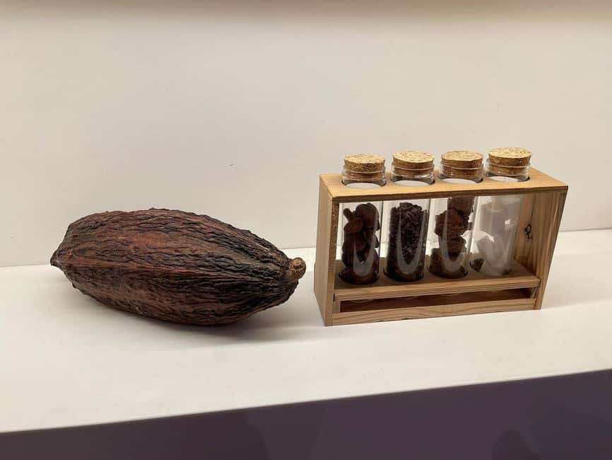 Brussels: Chocolate Appreciation and Tasting Walking Tour - Five shops, five different chocolate personalities