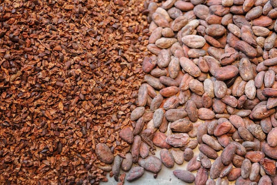 Brussels: Chocolate Appreciation and Tasting Walking Tour - What you may taste