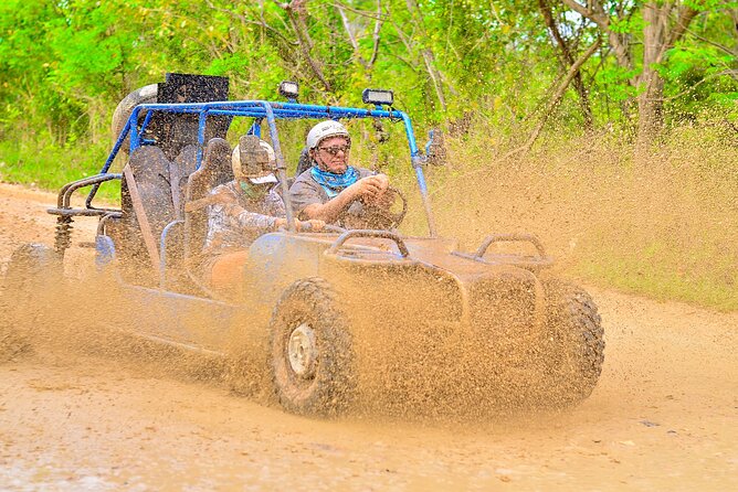 Buggy Ride Into the jungle with cave coffee & chocolate tasting - How the $53 price measures up