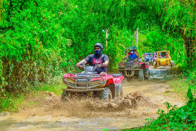 Buggy Ride Into the jungle with cave coffee & chocolate tasting - Who will enjoy this excursion most