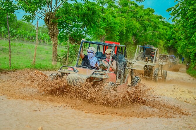 Buggy Ride Into the jungle with cave coffee & chocolate tasting - What driving the buggy is really like