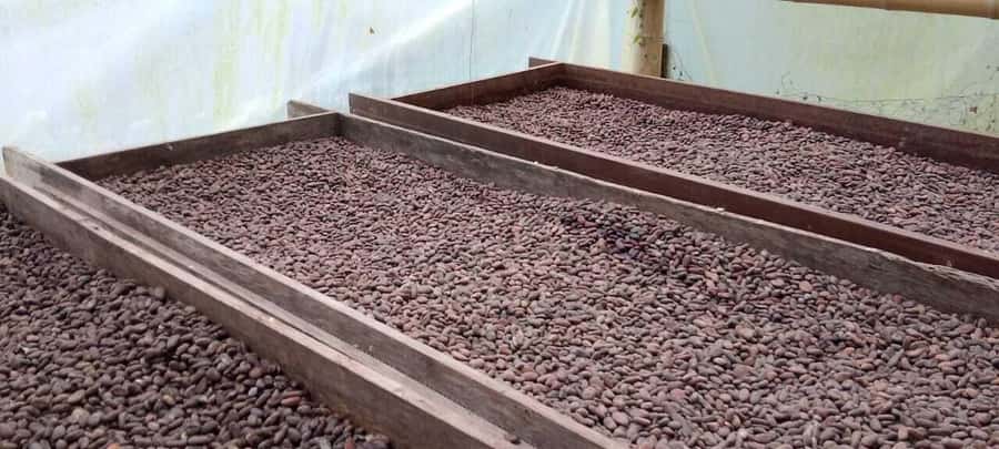 Cacao and Coffee Tour - Walking out from Minca toward the farm