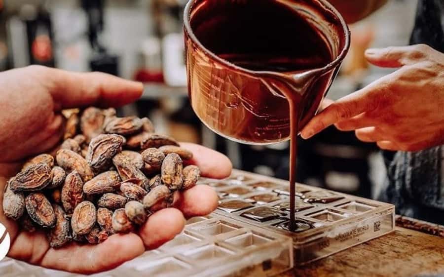 Cacao Experience Tour - Indigenous territory and local customs