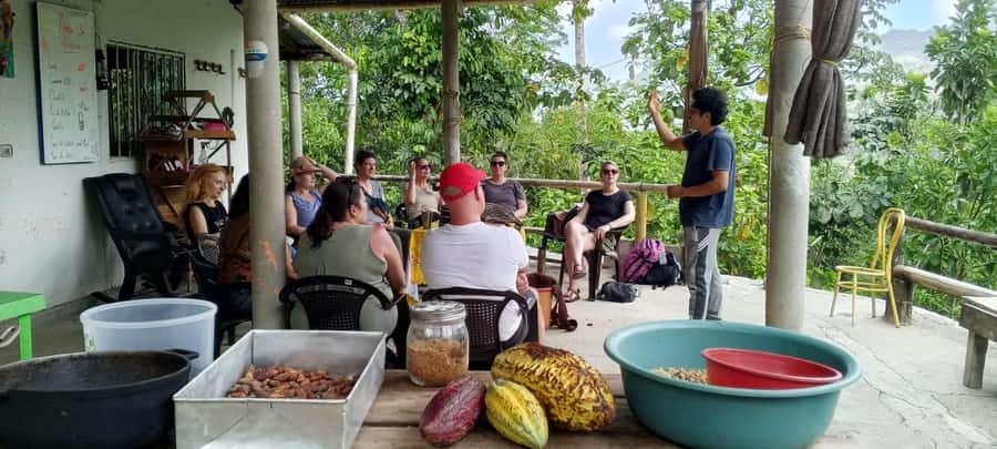 Cacao Experience Tour - The guide can shape the day