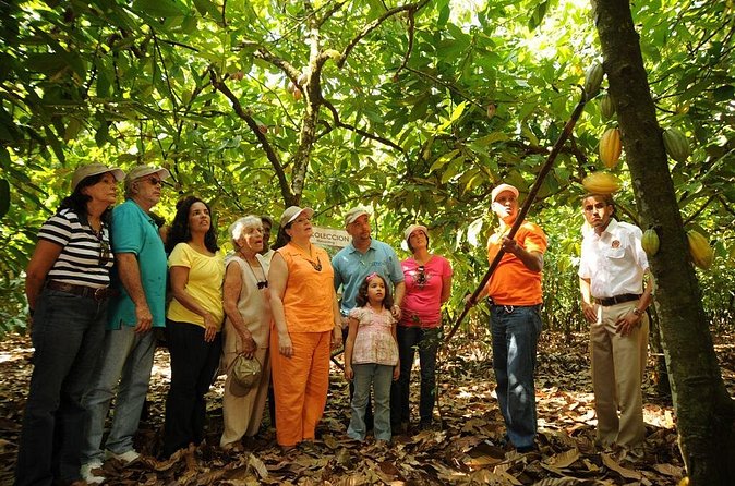 Cacao Plantation and Chocolate Factory Tour- Chocolate Lovers - Inside La Esmeralda Chocolate Factory