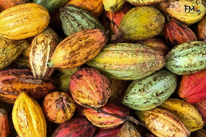 Cai Rang floating market, Cacao & hidden small canal - The boat ride back to Can Tho