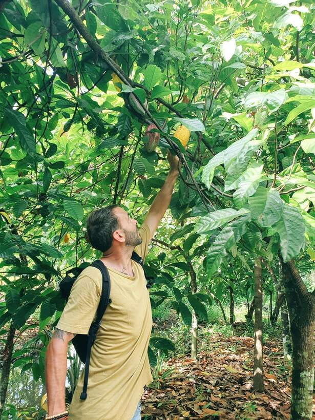 Can Tho: Countryside Cycling Tour with Cocoa Farm Visit - Why Can Tho Works So Well by Bicycle
