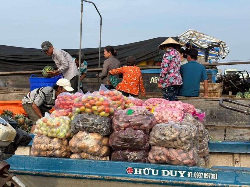 Can Tho: Floating Market, Canal, Cacao Farm & Mekong' Life - Walking through peaceful Mekong villages